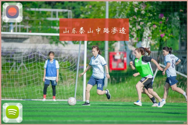 山东泰山中路渗透
