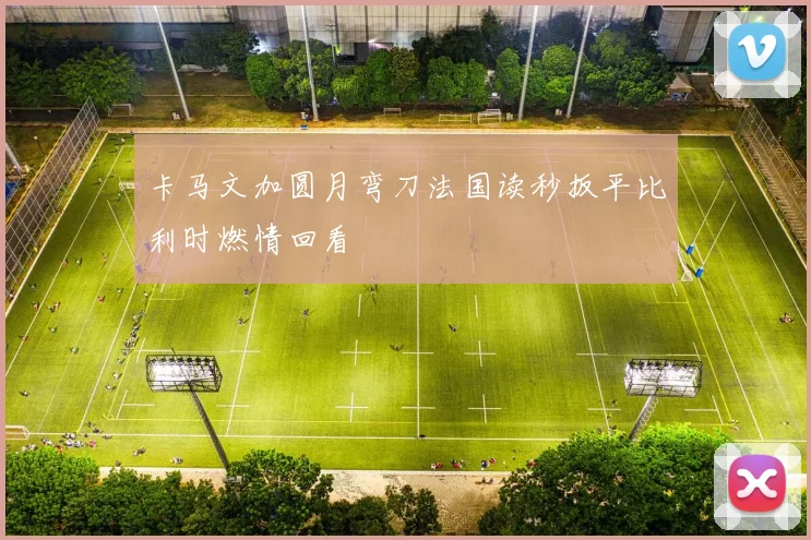 卡马文加圆月弯刀法国读秒扳平比利时燃情回看