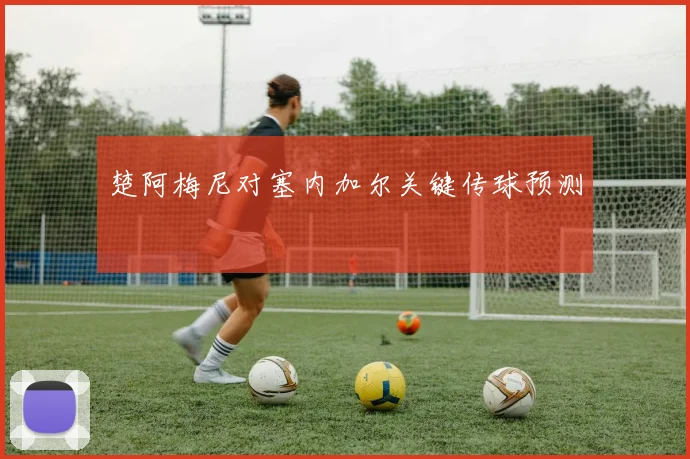 楚阿梅尼对塞内加尔关键传球预测