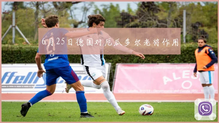 6月25日德国对厄瓜多尔老将作用