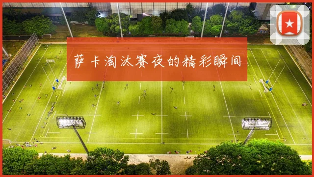 萨卡淘汰赛夜的精彩瞬间