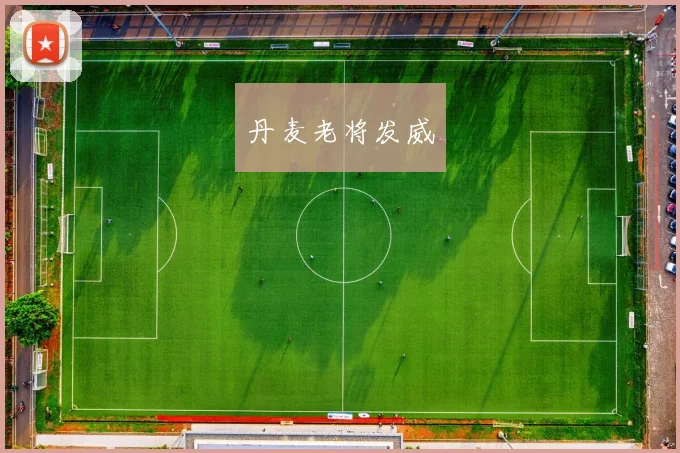 丹麦老将发威