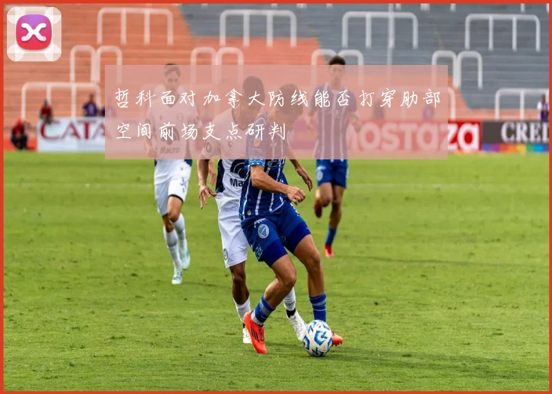 哲科面对加拿大防线能否打穿肋部空间前场支点研判